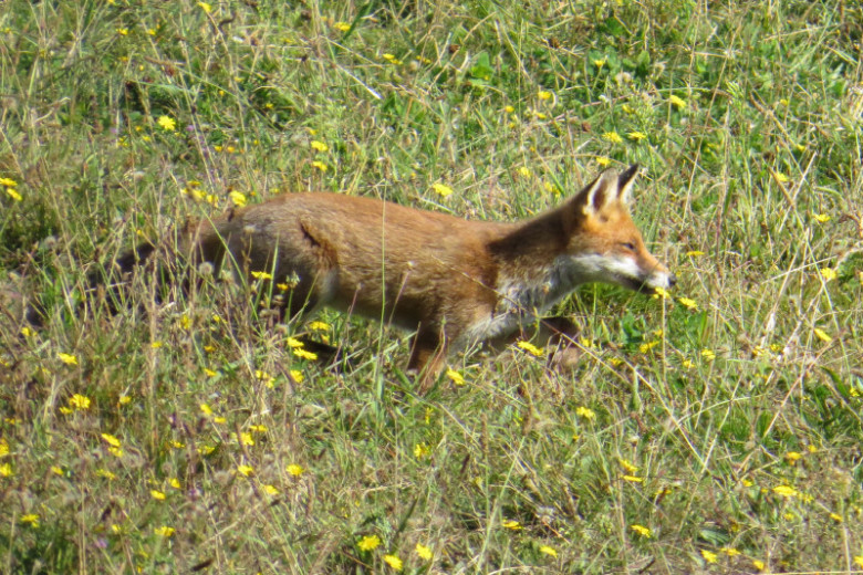 IMG_30351.jpg
