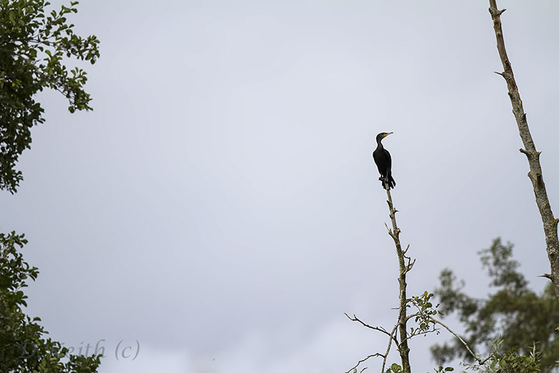 ecluzelles_17-10-2014-14-28-14_0004.jpg