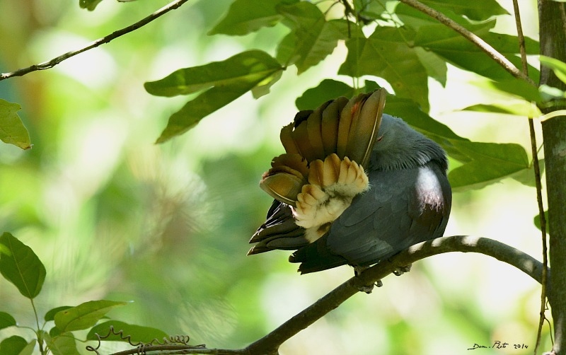 DSC_8616.JPG