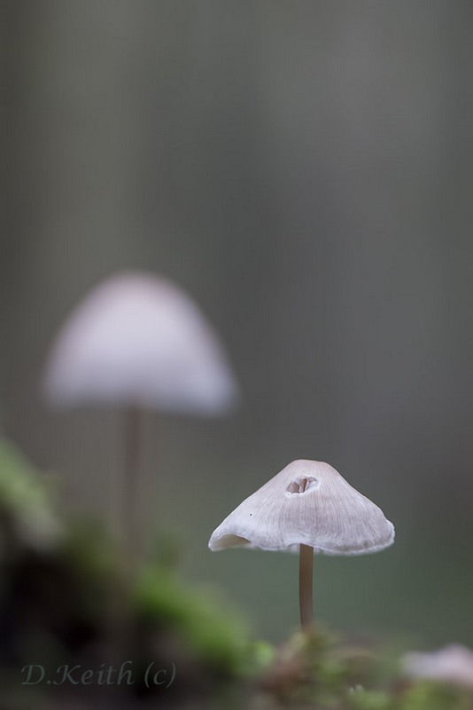 senonches_23-10-2014-10-48-45_0065.jpg