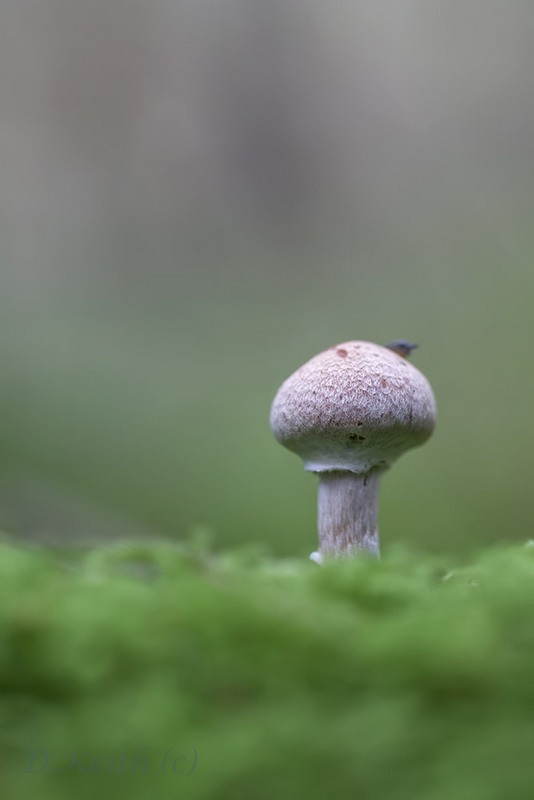 senonches_23-10-2014-10-51-46_0070.jpg
