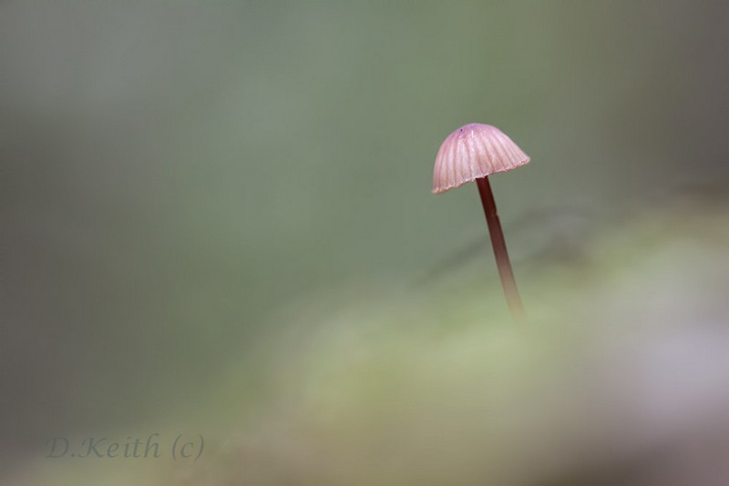 senonches_23-10-2014-11-12-02_0123.jpg