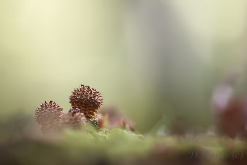senonches_27-10-2014-16-20-49_0087.jpg