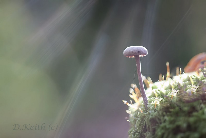 senonches_27-10-2014-16-24-25_0104.jpg