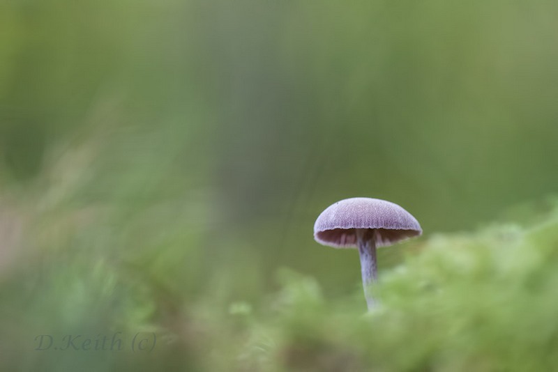 senonches_27-10-2014-16-53-32_0182.jpg