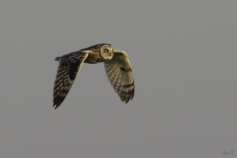14042014-ED8A5987 (Copier).jpg