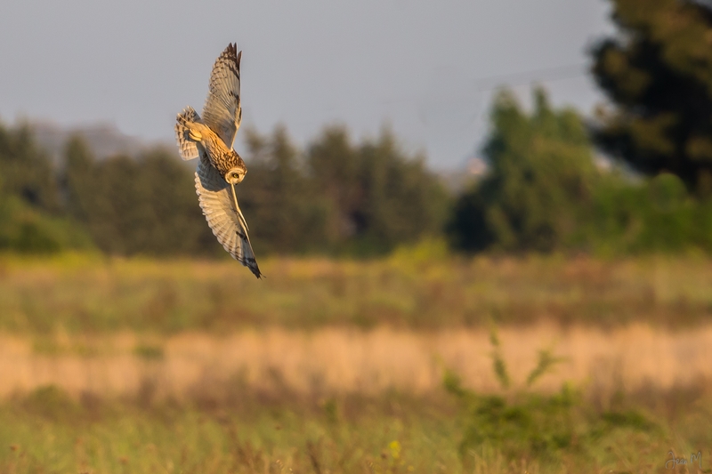14042014-ED8A6004 (Copier).JPG