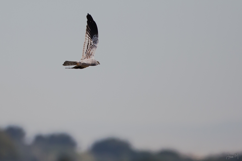 15042014-ED8A6063 (Copier).JPG