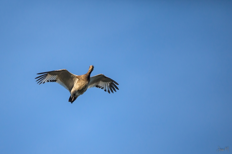 15042014-ED8A6046-2 (Copier).JPG