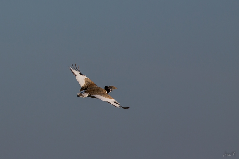 14042014-ED8A5892 (Copier).JPG