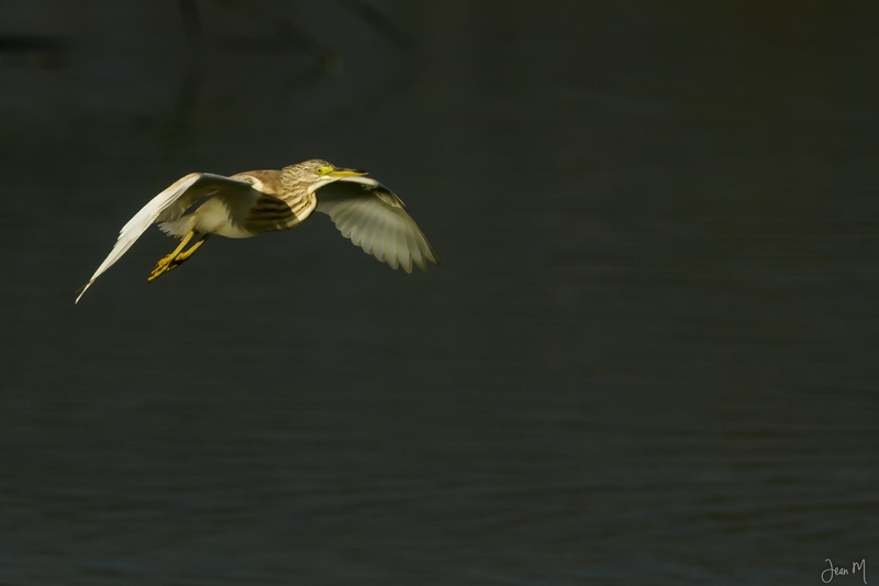 02102013-766 (Copier).JPG