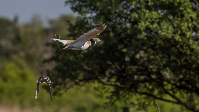 14042014-ED8A5764 (Copier).JPG