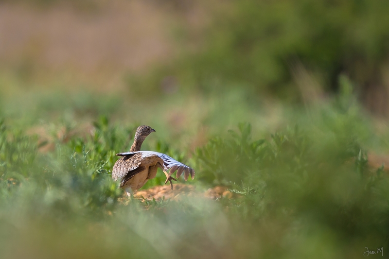 24042014-ED8A6244 (Copier).JPG