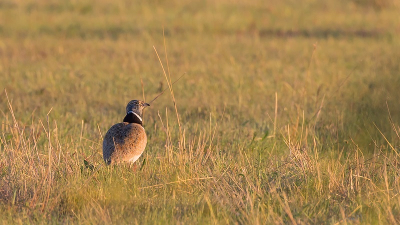 14042014-ED8A6025 (Copier).JPG