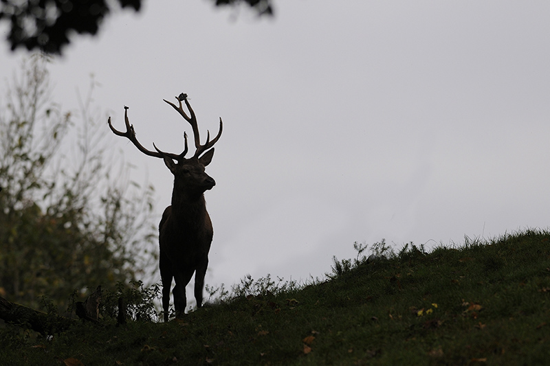 _DSC999112.jpg