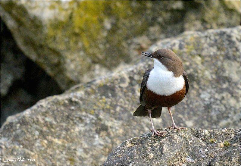 DSC_0471.jpg