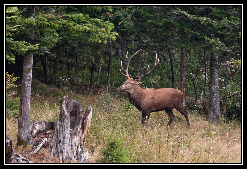 DSC06022-lr.jpg