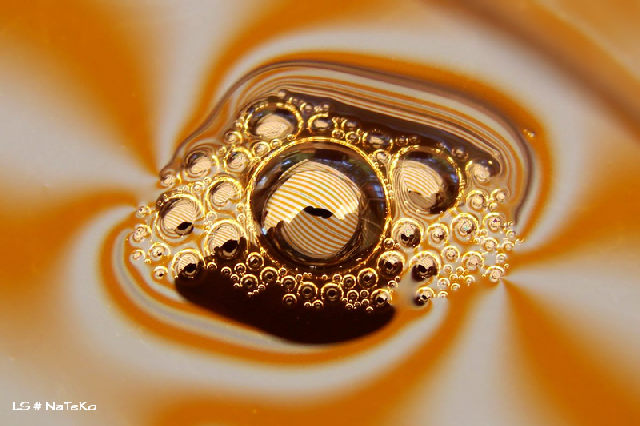 Café fractal nateko.jpg