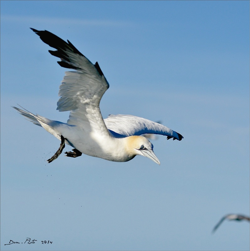 DSC_1182.JPG