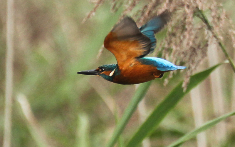 16092014-IMG_8367.JPG
