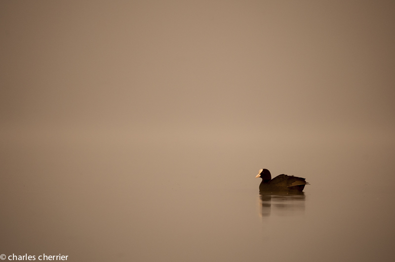 _DSC5606.jpg