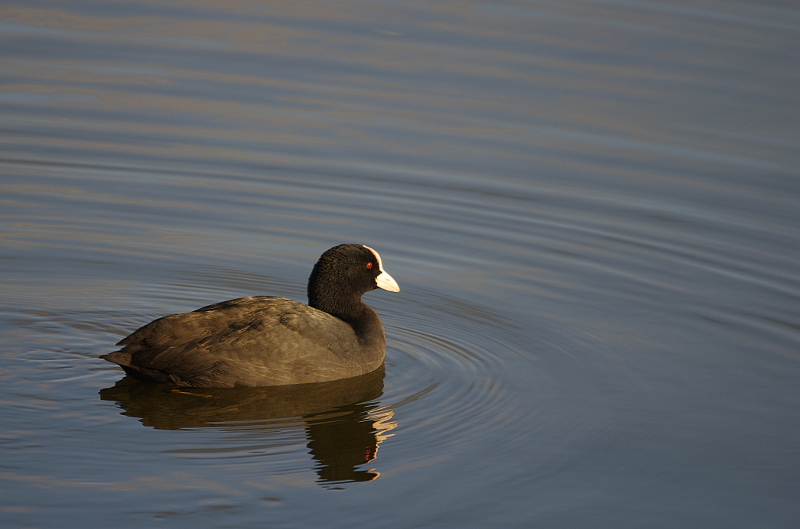 20111117IMGP2107.jpg