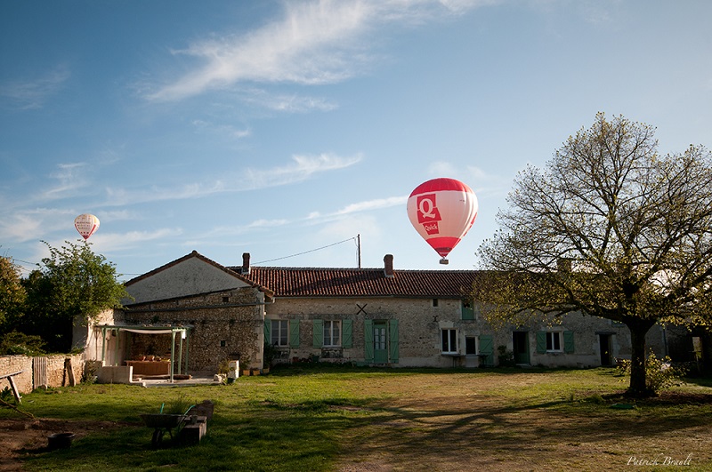 DSC_1261.jpg
