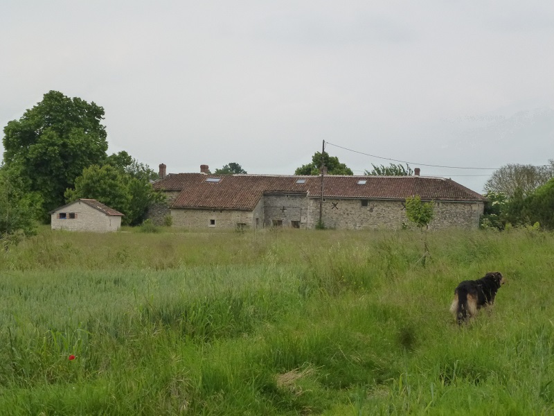 P1020731.jpg