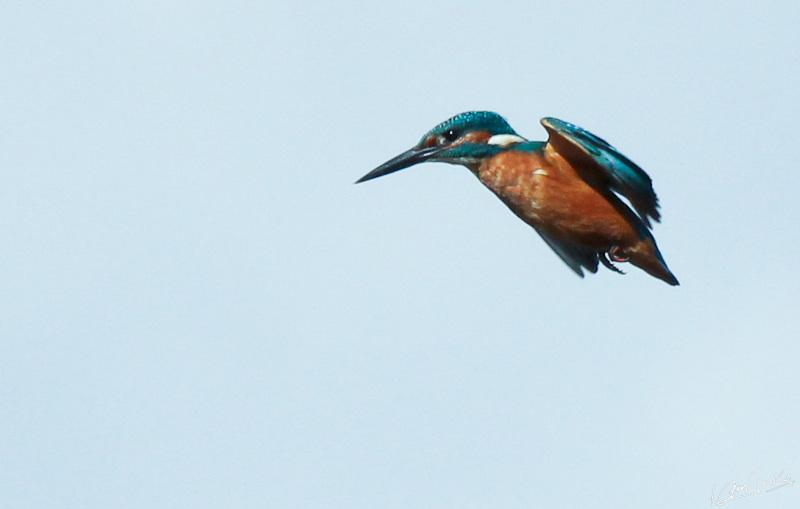 26092012-IMG_9514.JPG