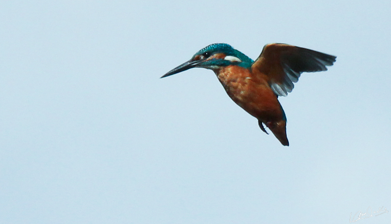 26092012-IMG_9515.JPG