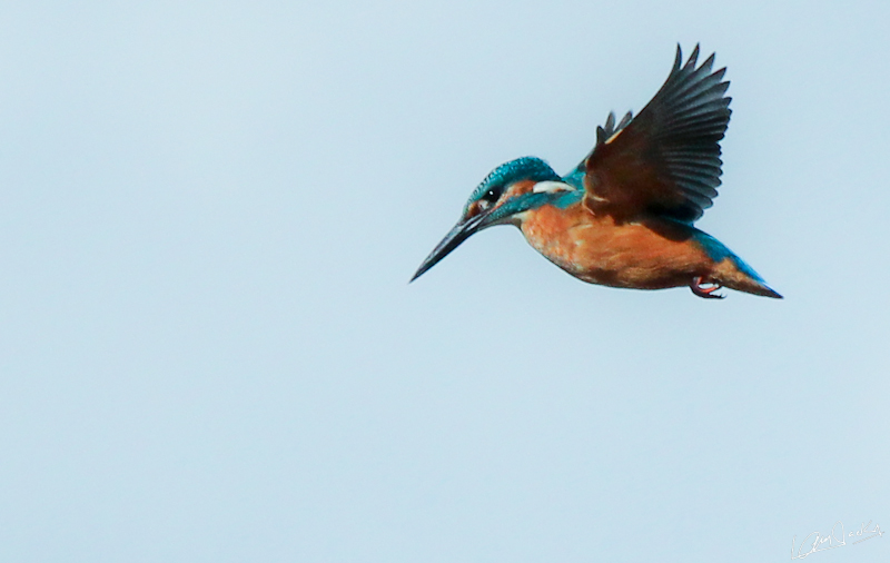 26092012-IMG_9516.JPG