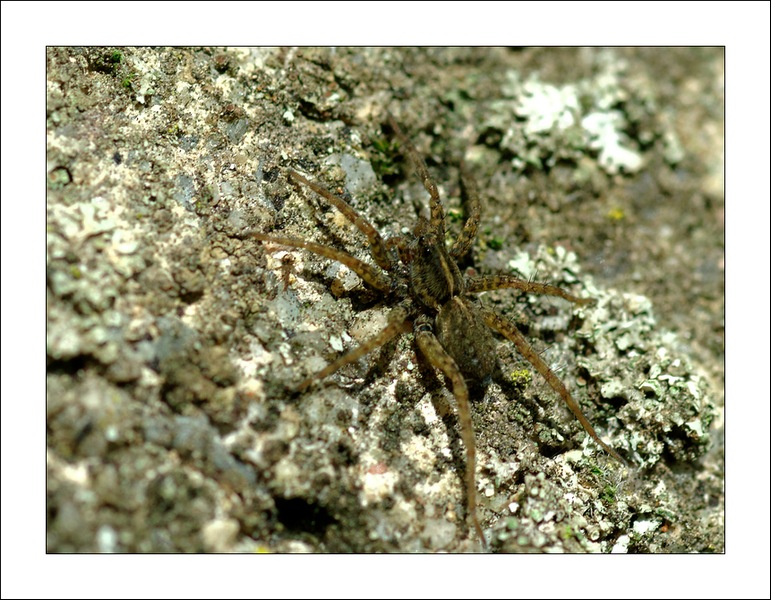 SG205151_DxO.bis.in.jpg