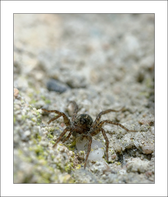 SG205261_DxO.bis.in.jpg