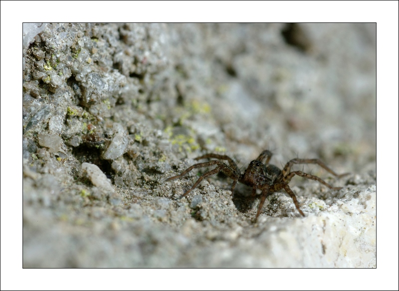 SG205263_DxO.bis.in.jpg