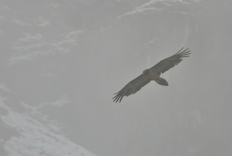 DSC_0881.jpg