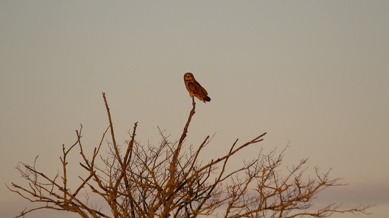 IMG_8354.jpg