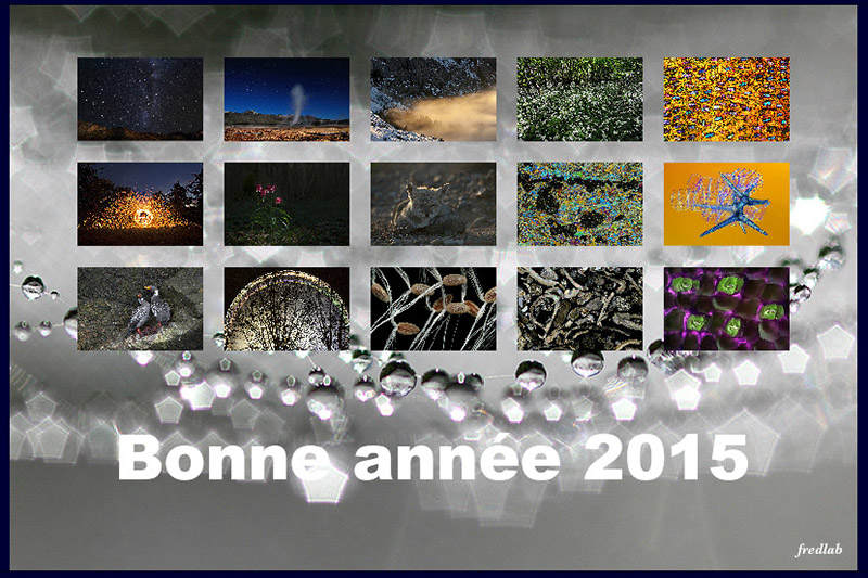 carte2015.jpg