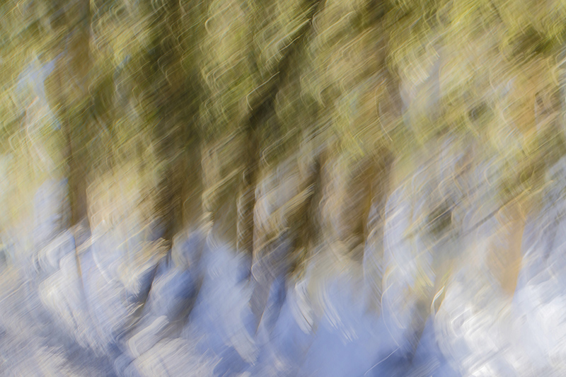 _MG_7950-3med.jpg