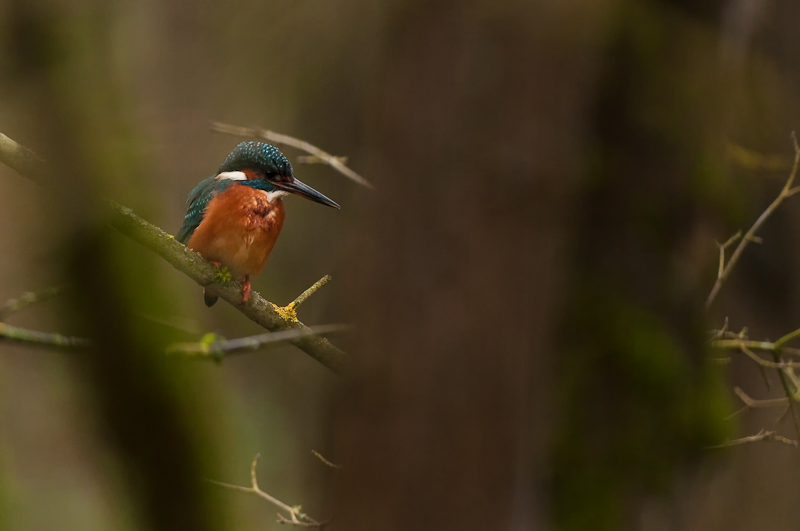 20141209-_DSC4152-Modifier.jpg