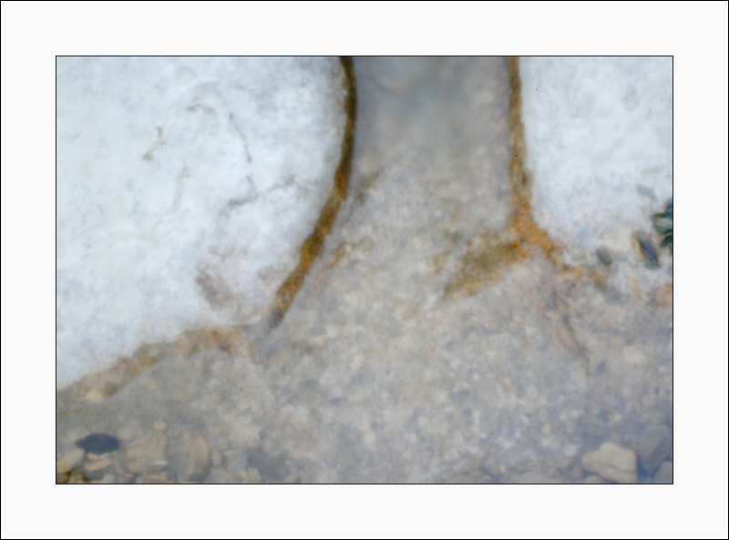 IMGP1487.bis.in.jpg