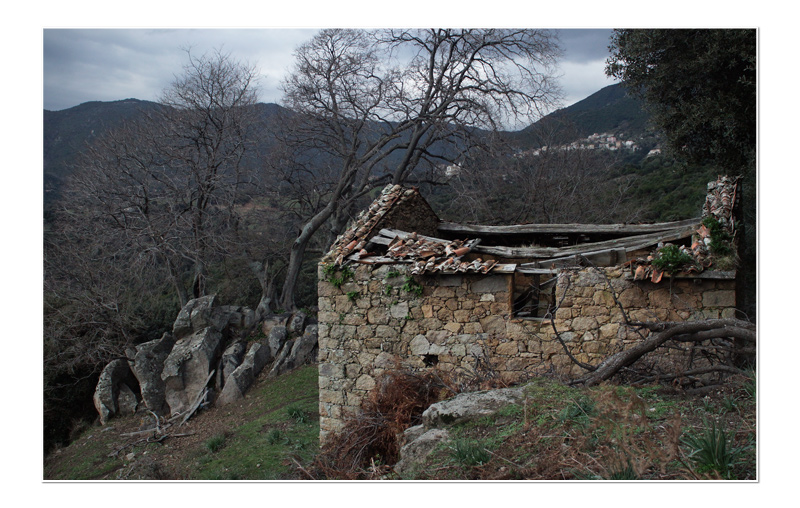 DSC07534_modifié-1-copie.jpg