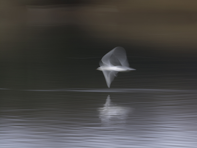 _DSC6748-Modifier_modifié-1.jpg