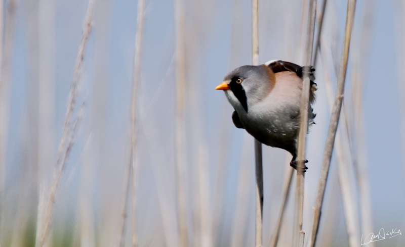 01062014-IMG_4610.jpg