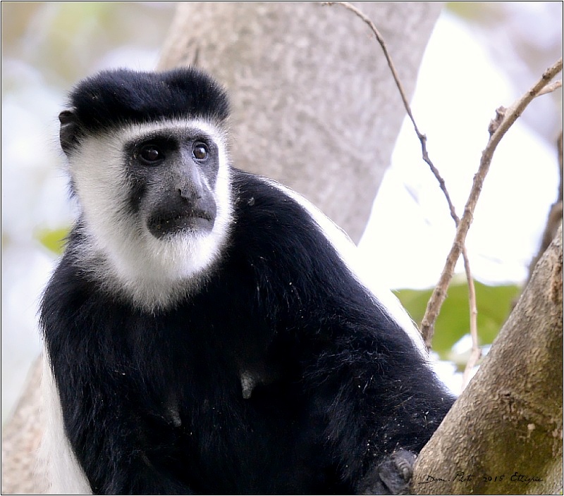 DSC_7971.jpg
