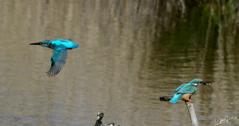 01042013-IMG_3204.jpg