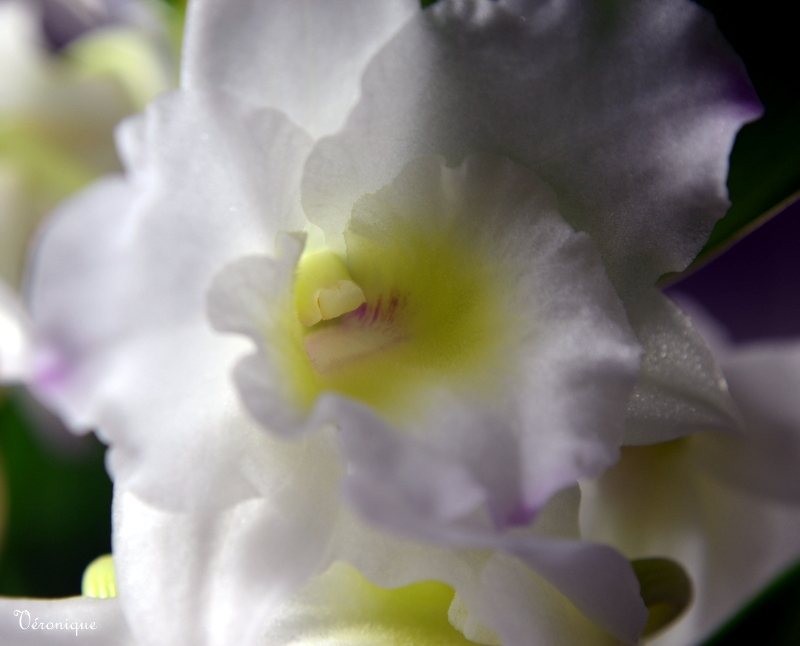 DSC_4672.JPG