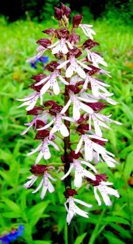 DSCN5874.jpg