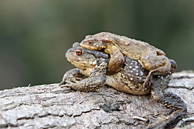 20150315IMGP7539.jpg