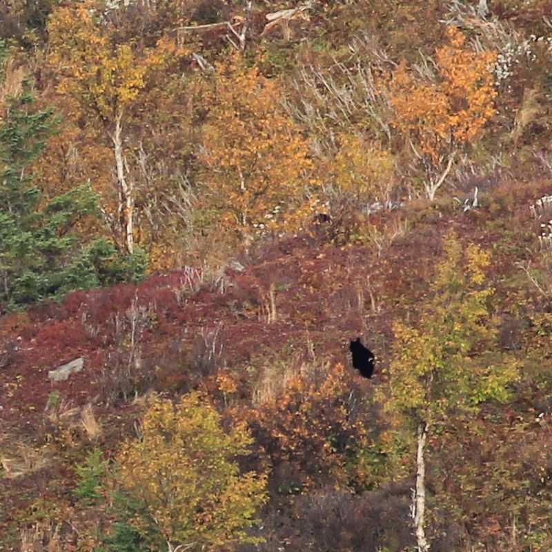 IMG_7005 - Version 2.jpg