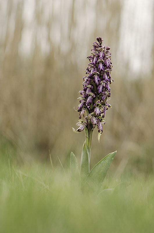 _DSC6757-Modifier-Modifier.jpg